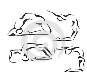 Yoga asana vector art photo